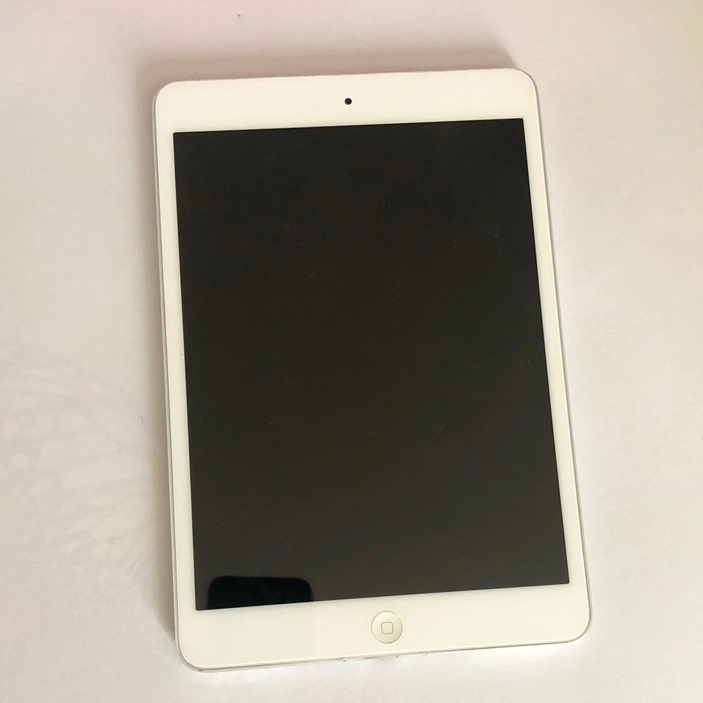 iPad mini 1